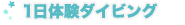 1日体験ダイビング